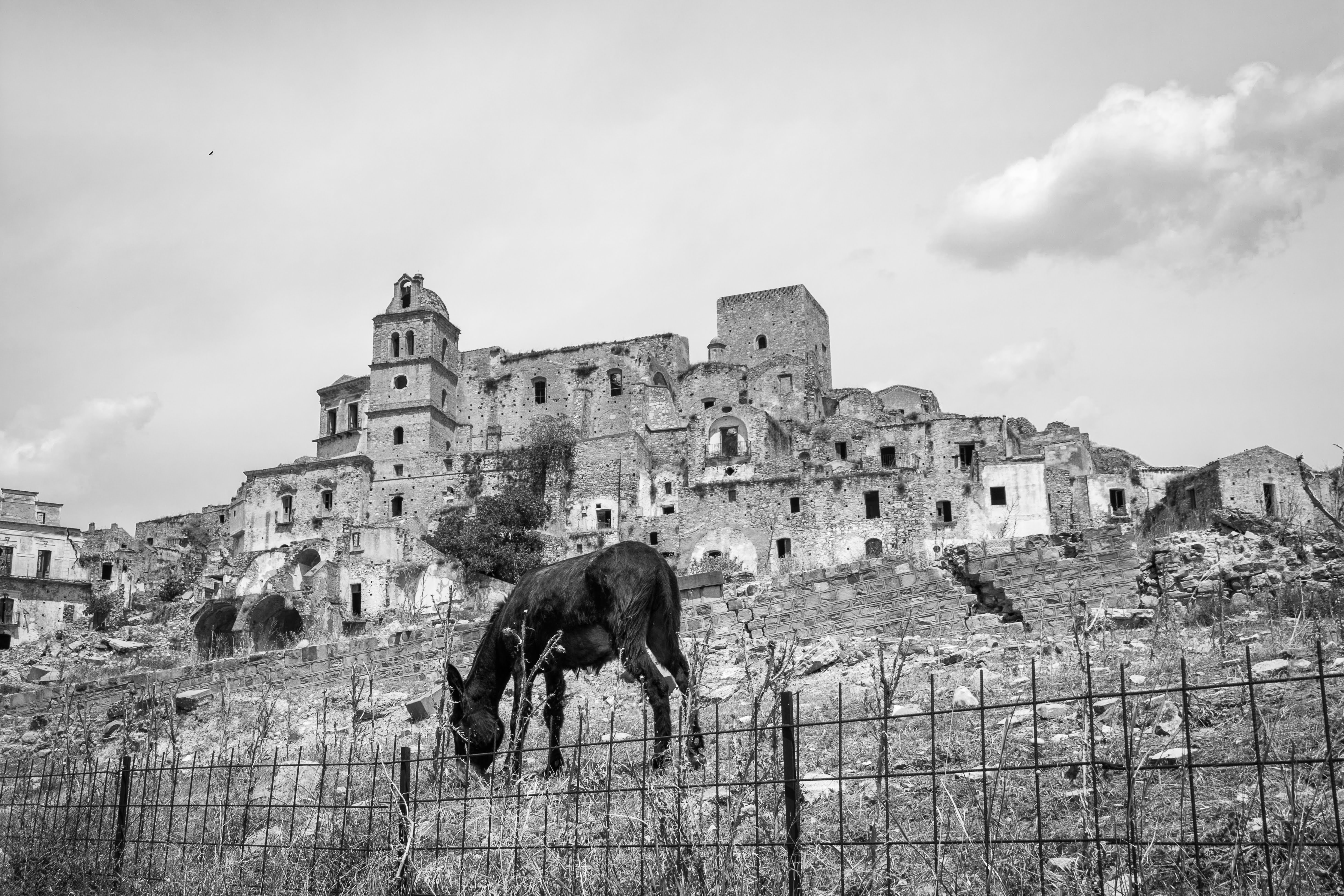 Basilicata 2018… tra Santi, briganti e parenti!