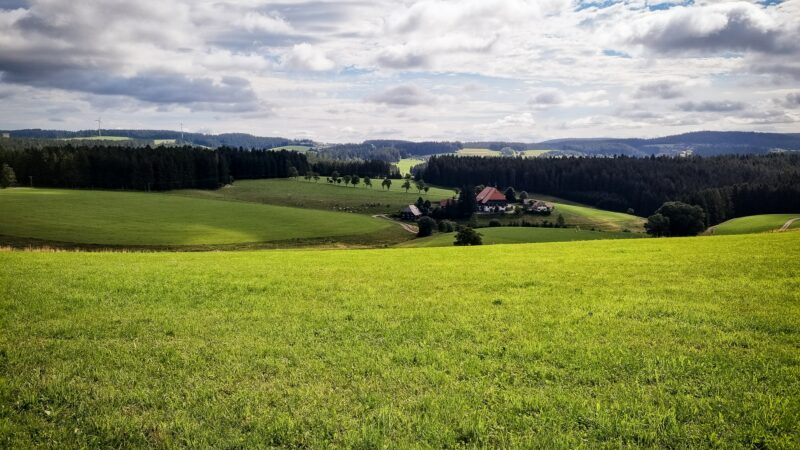 Una Germania da favola – La Foresta Nera e la Strada delle fiabe.