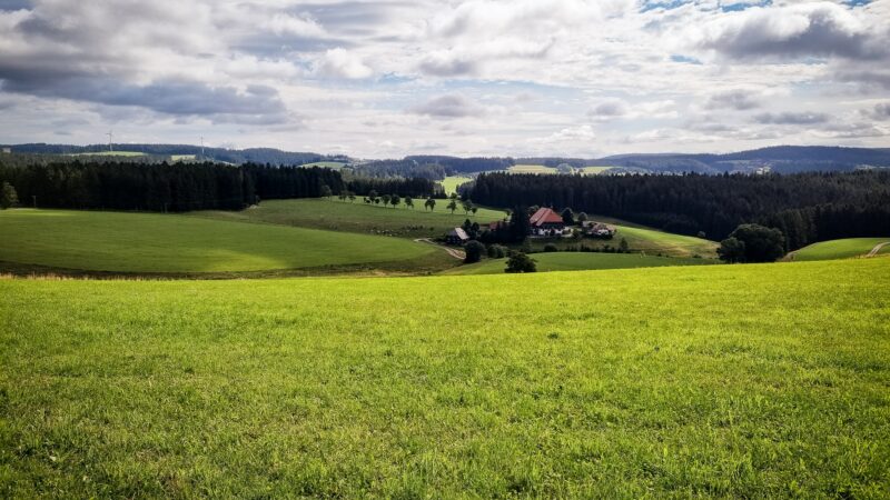 Una Germania da favola. La Foresta Nera e la Strada delle fiabe.